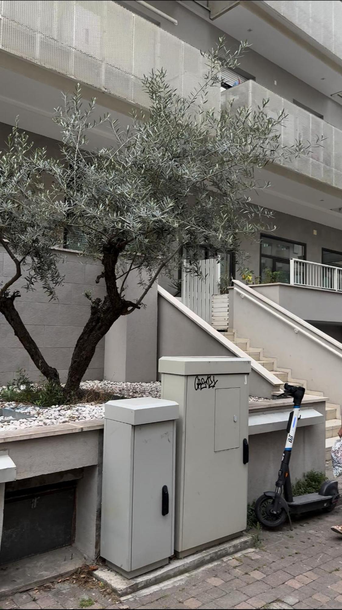 Rimini Marina Apartment Exterior photo